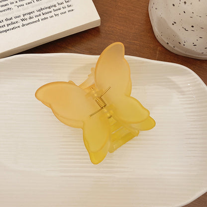 Gradient Butterfly Hair Clip
